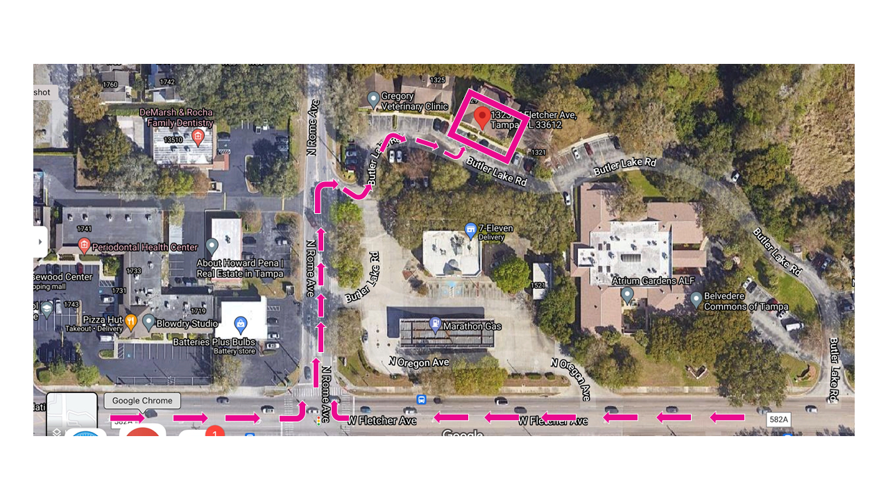 Orthopedic Knee Clinic Tampa - Nexus Heals